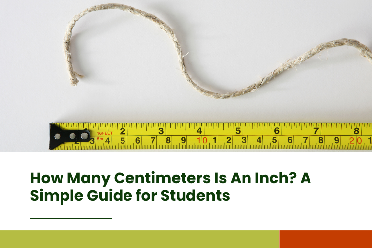 How Many Centimeters Is An Inch A Simple Guide for Students