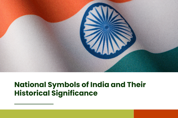 indian flag
